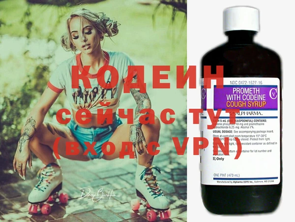 PSILOCYBIN Майский