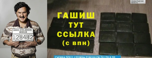 PSILOCYBIN Майский