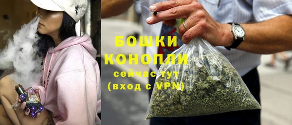 PSILOCYBIN Майский
