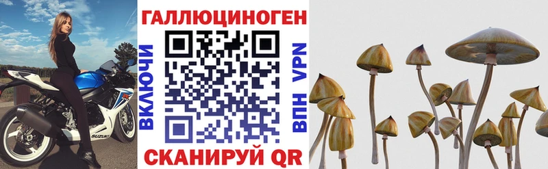 Галлюциногенные грибы Psilocybe  как найти наркотики  Макаров 